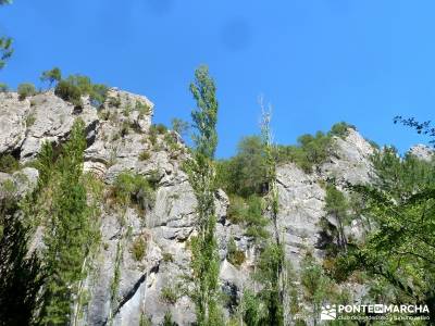 Hoz del Río Escabas - Serranía de Cuenca (Senderismo refrescante);rutas para caminar rutas senderi